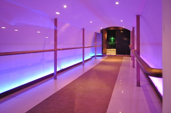 B Club on Saturday Night